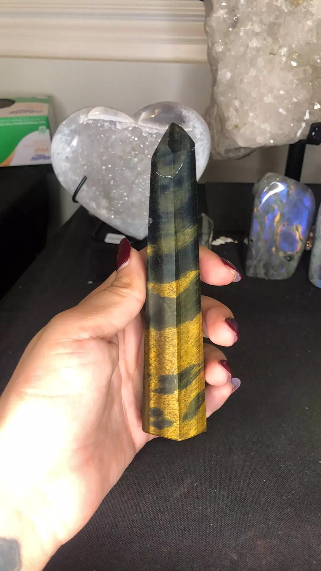 plant/Blue gold tigers eye tower was $140-0