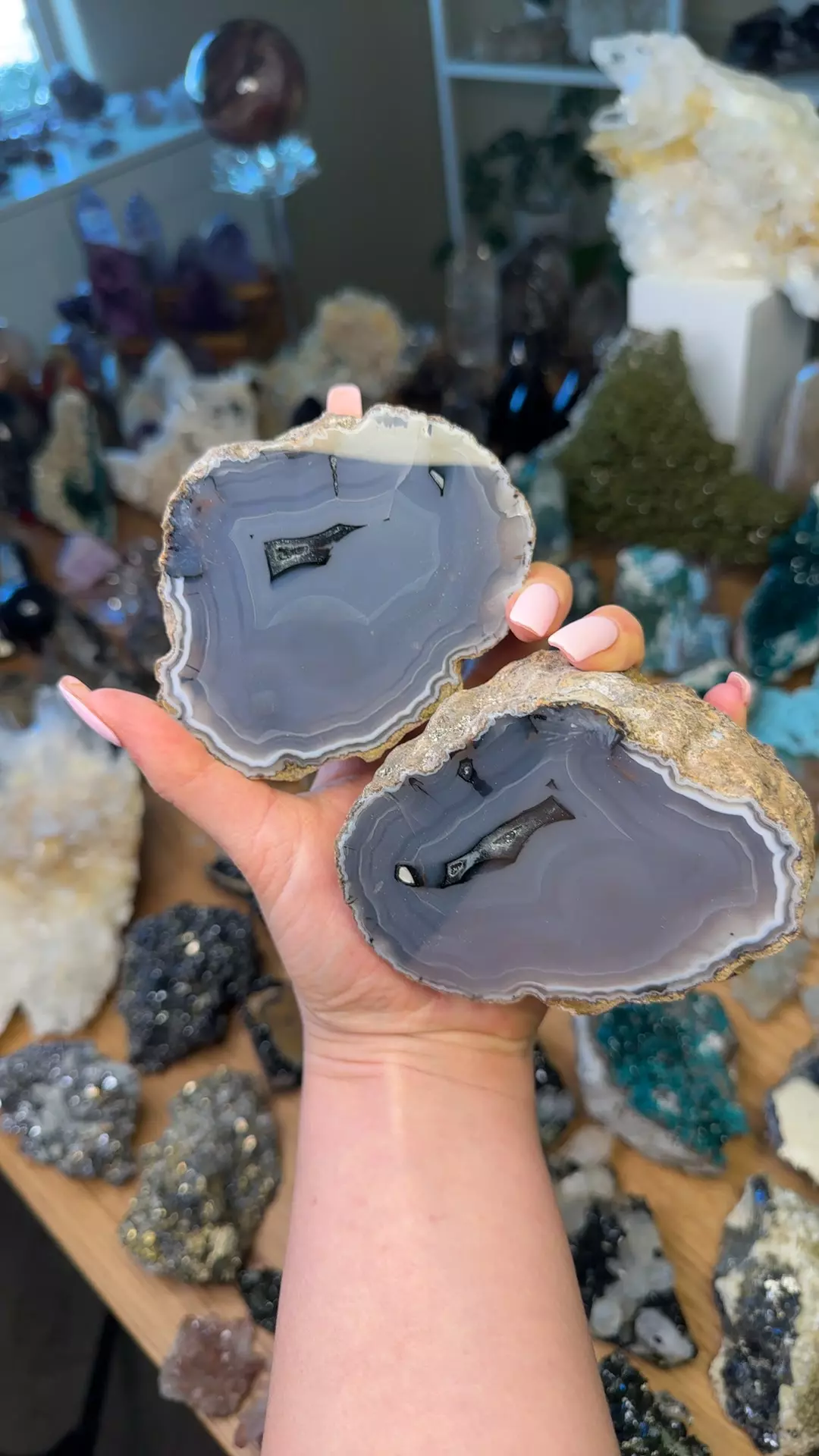 plant/Turkey agate pair-0