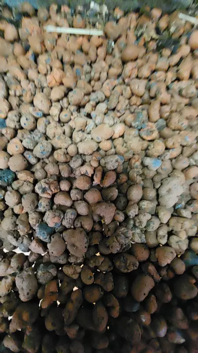 plant/drainage layer-0-thumbnail