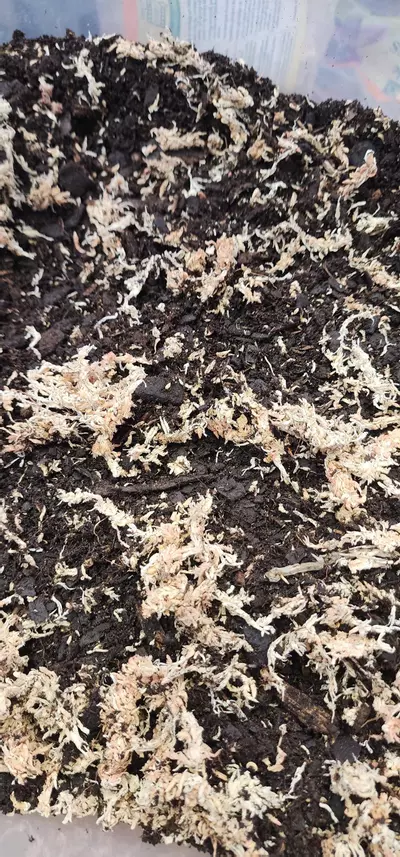 plant/bioactive substrate-0-thumbnail