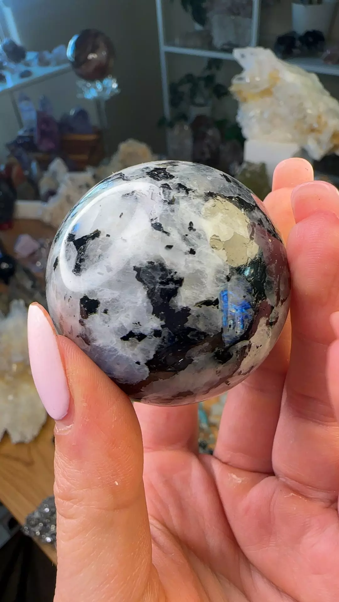 plant/Rainbow moonstone-0