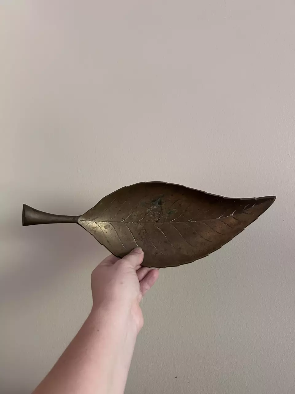 plant/Long Brass Leaf Dish (B)-1