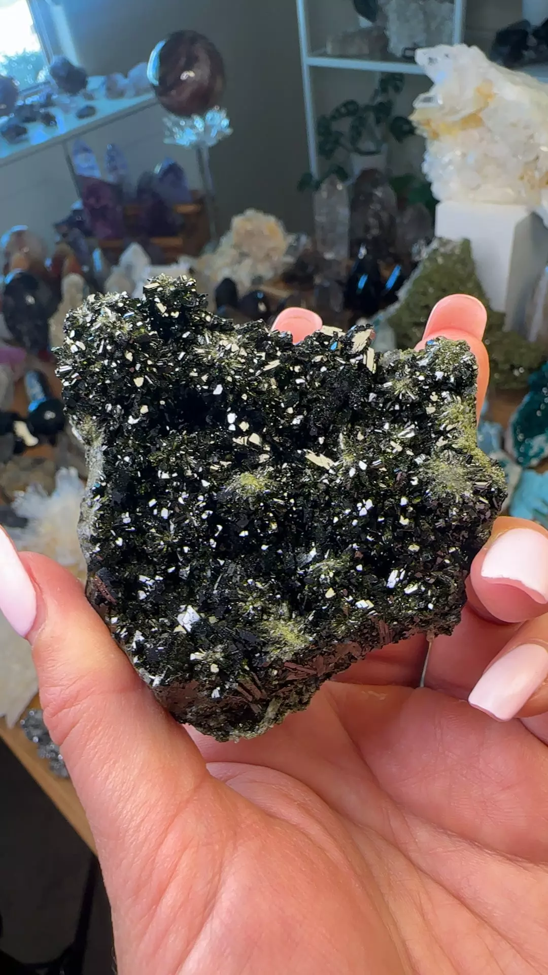 plant/Epidote Quartz-0
