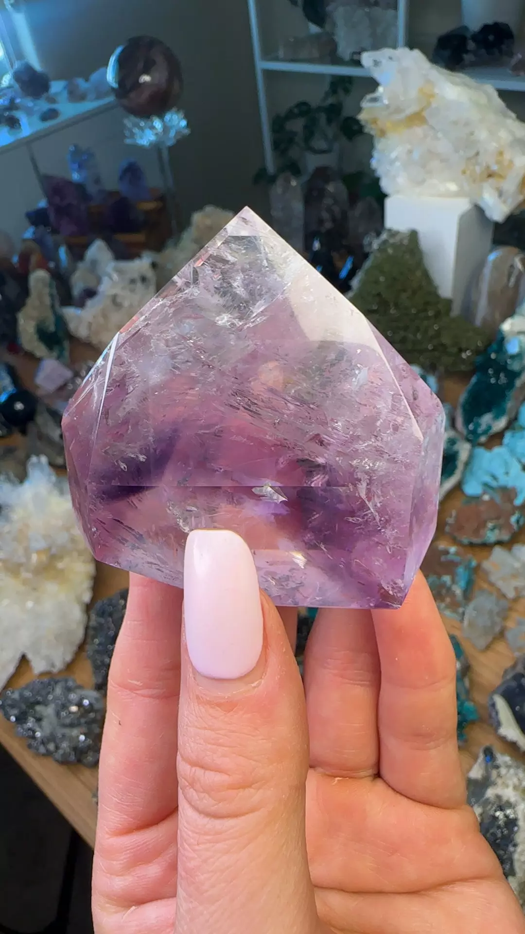 plant/AAA Phantom amethyst 76-0