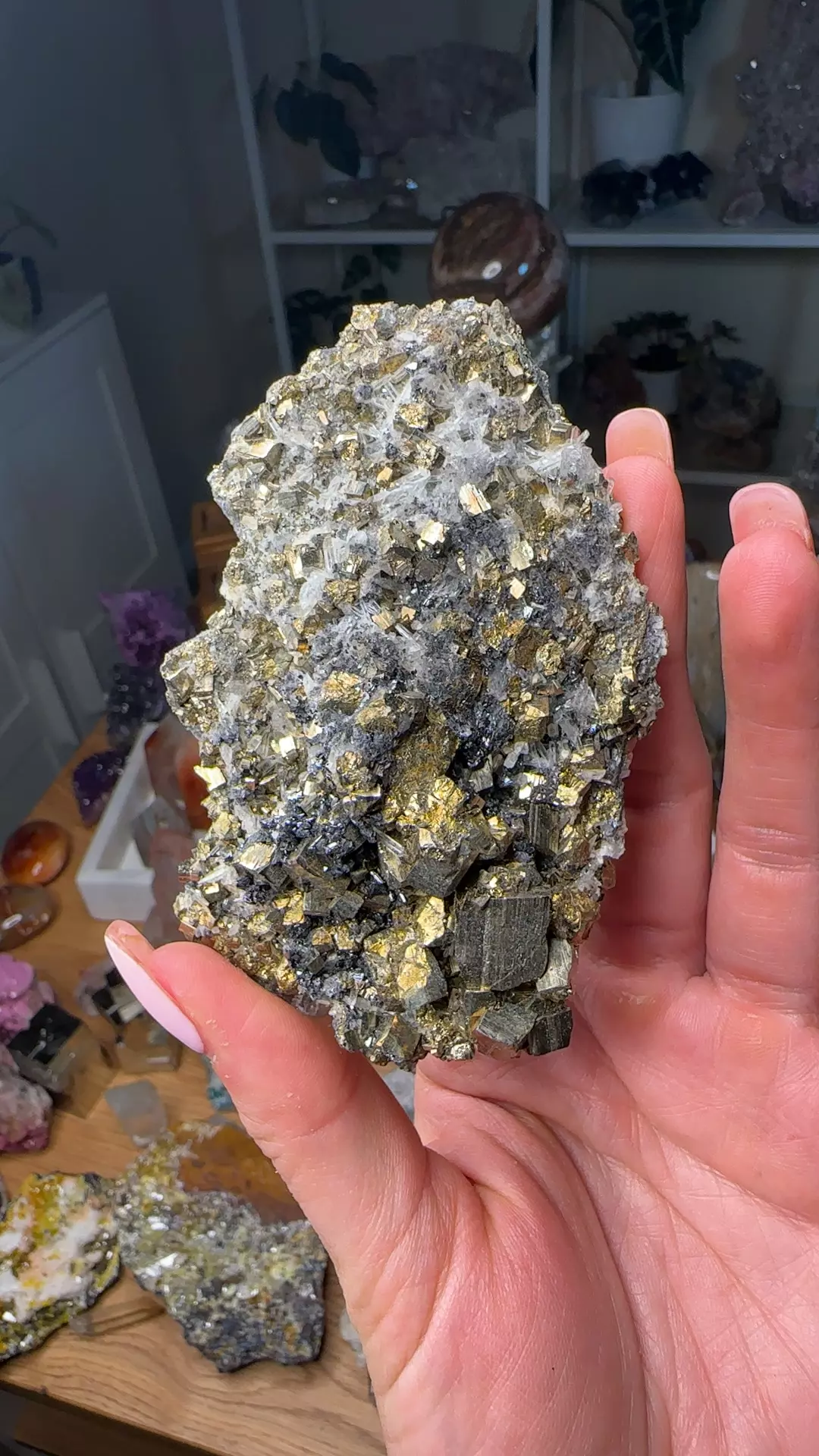 plant/Chalcopyrite Quartz-0