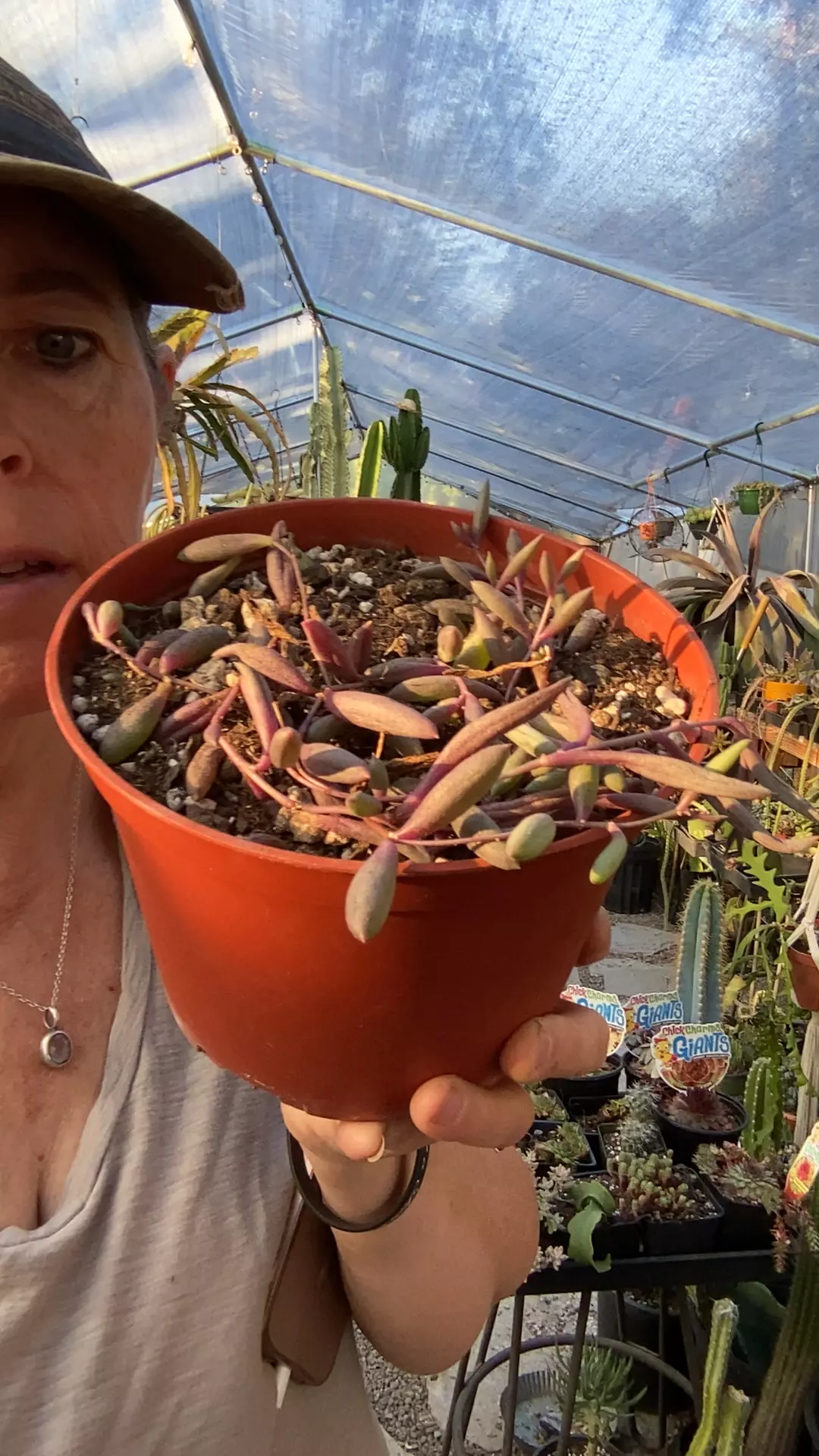 plant/Ruby necklace-0