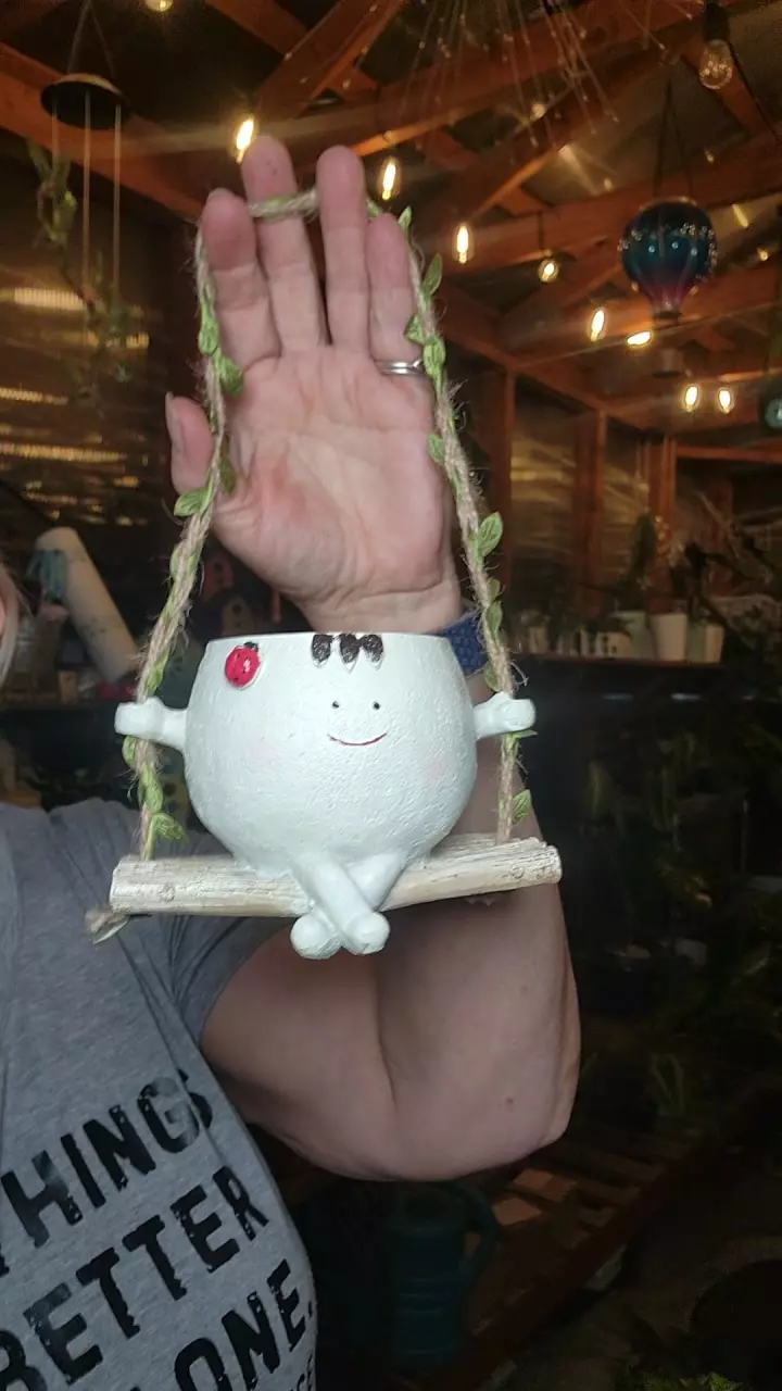 plant/character hanging pot ladybug-0
