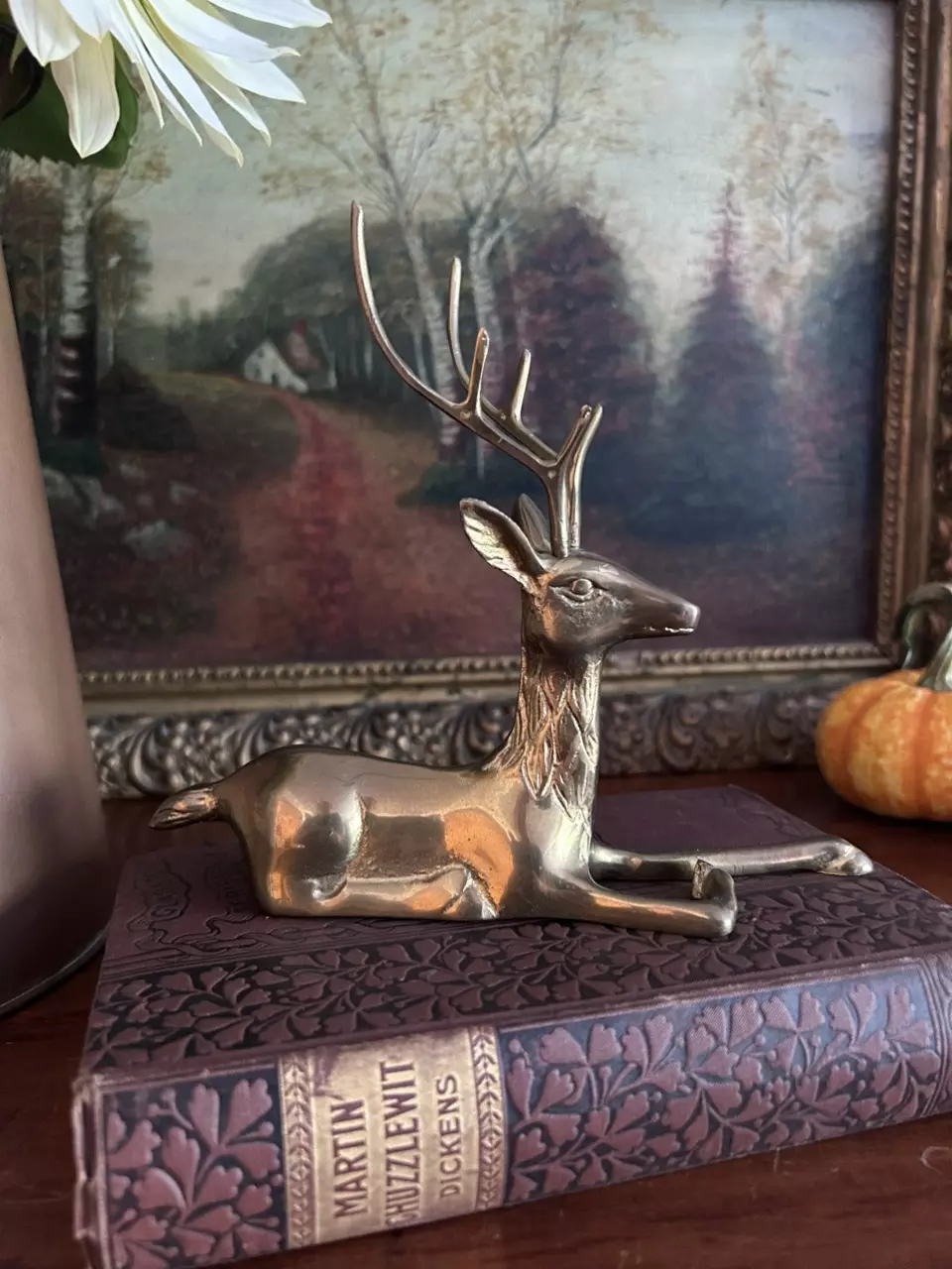 plant/Smaller Laying Down Buck-1