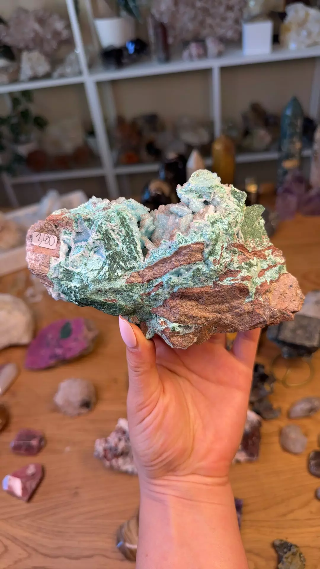 plant/Druzy Chrysocolla 380-0