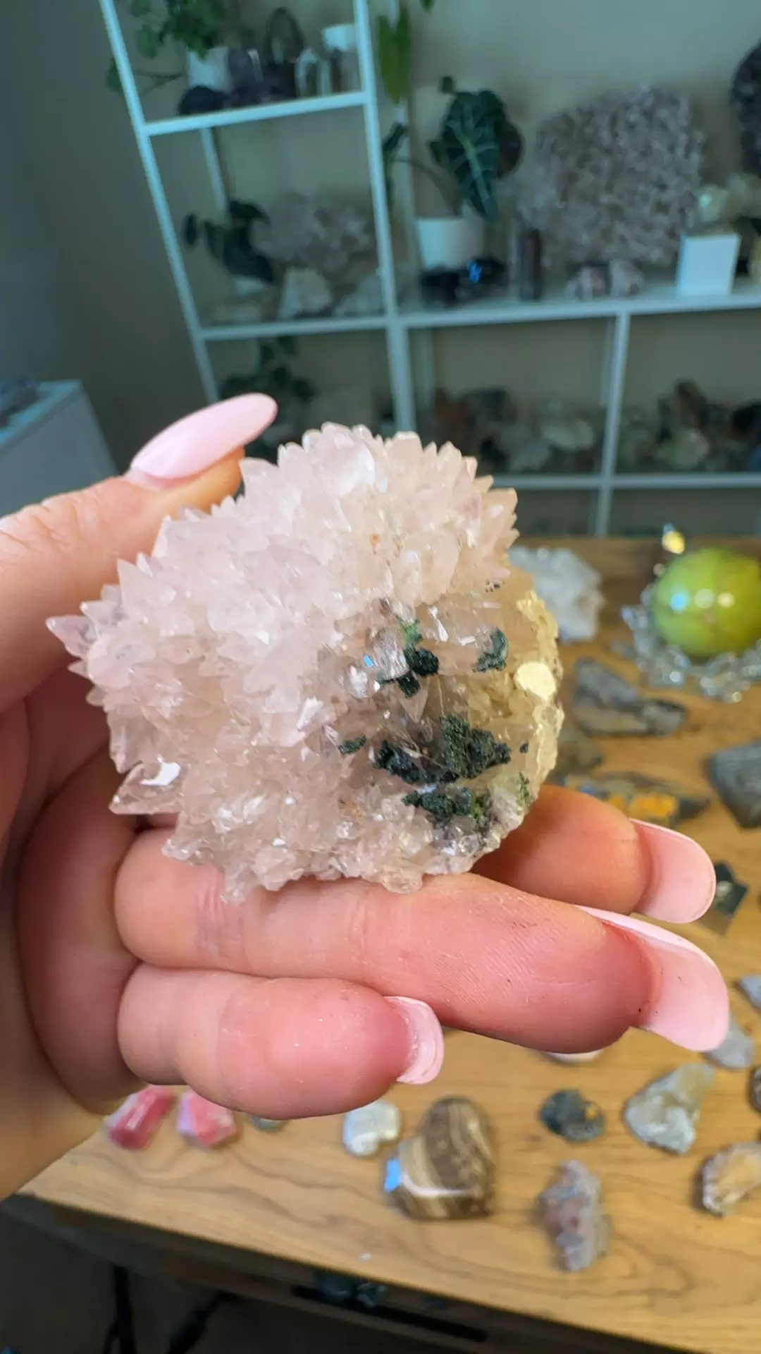 plant/Calcite 90-0