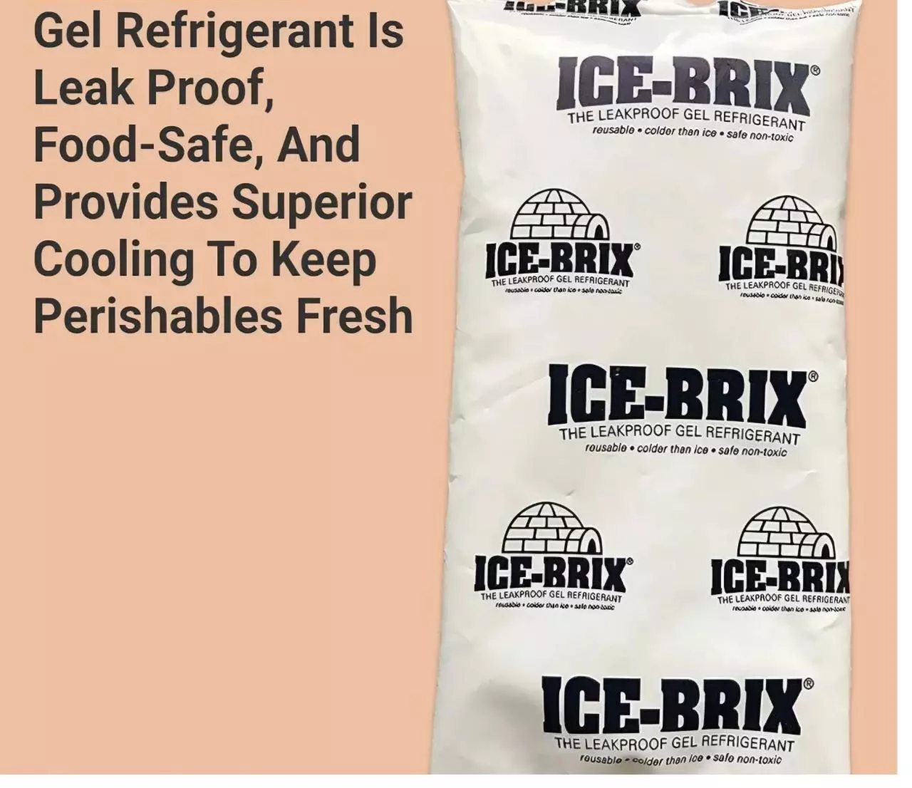 plant/2 pack Ice Packs-0