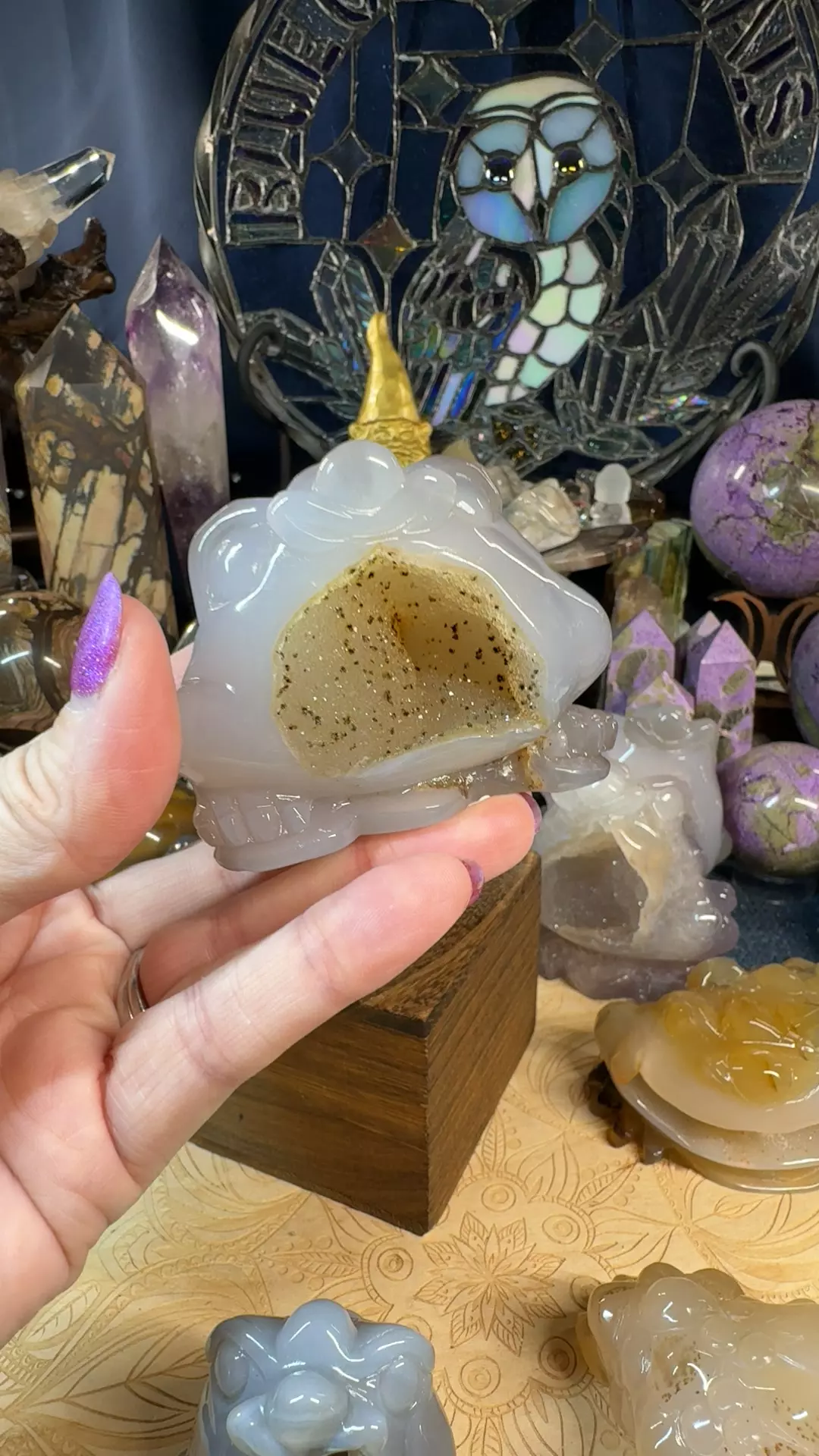 plant/Druzy Agate Money Toad 35AE-0
