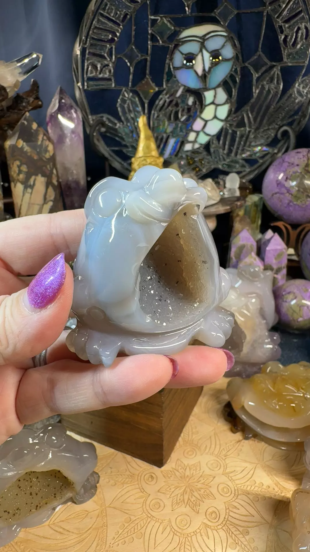 plant/Druzy Agate Money Toad 30AG-0