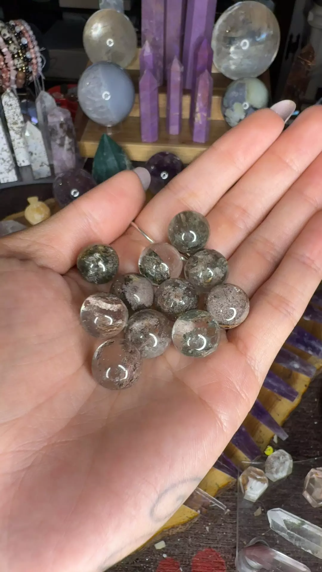 plant/Mini garden spheres 8-0