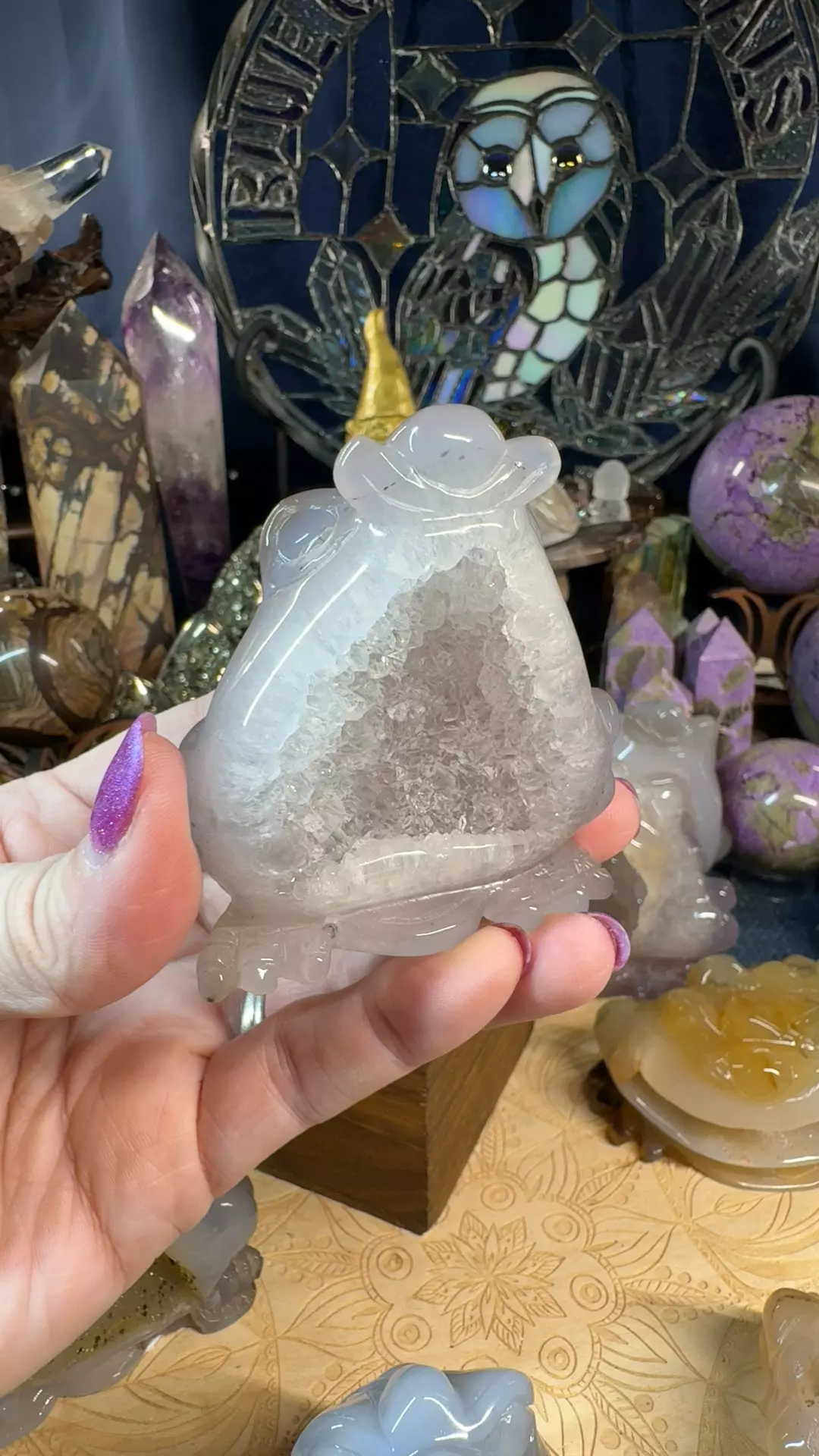 plant/Druzy Agate Money Toad 35AF-0