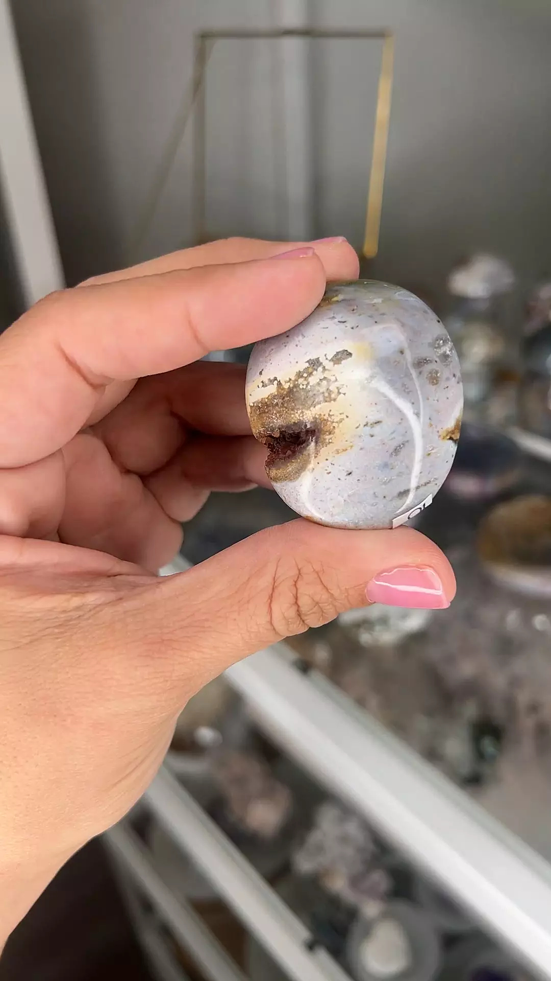 plant/Druzy Oj palm stone-0