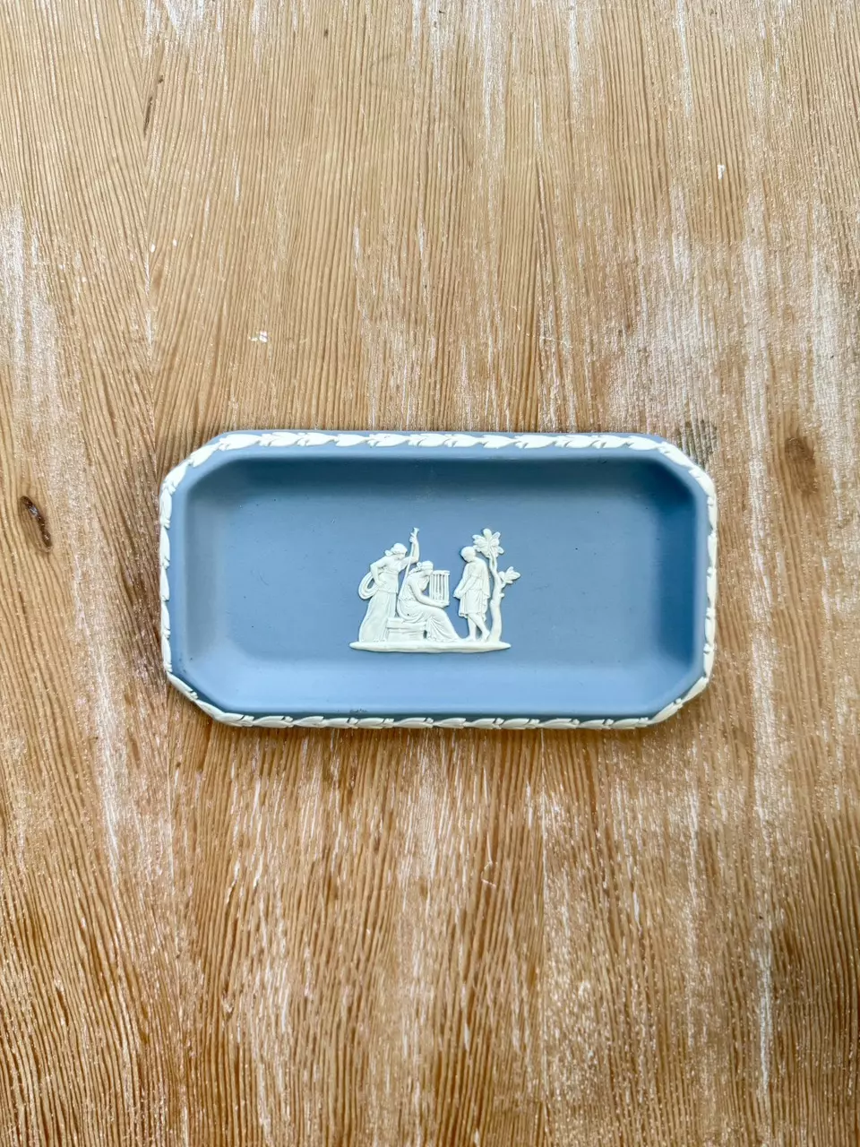 plant/Oblong Tray-0
