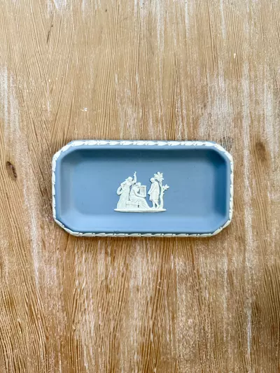 plant/Oblong Tray-0-thumbnail