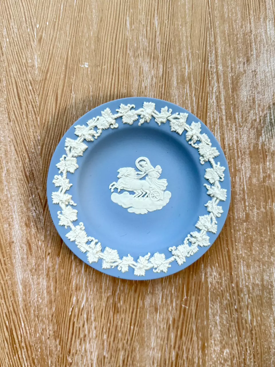 plant/Round Dish - Goddess Aurora-0