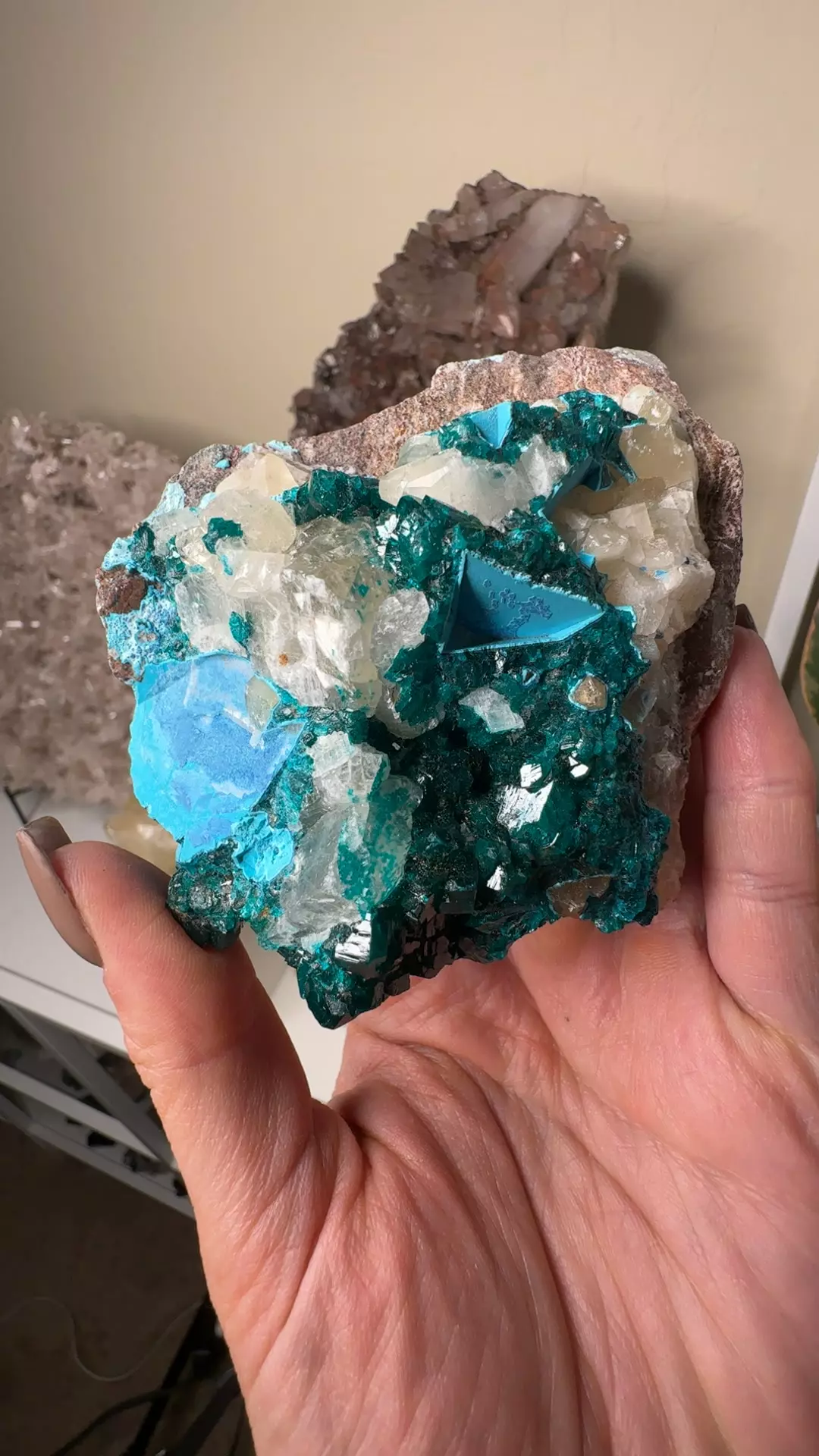 plant/Dioptase , calcite , Shattuckite & Chrysocolla-0