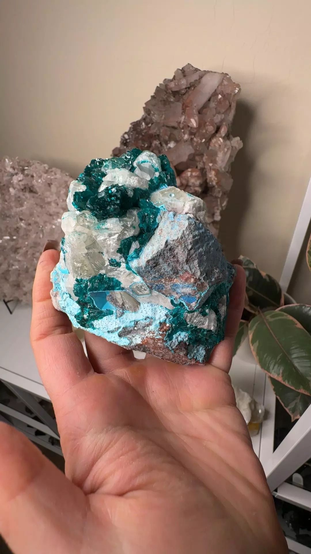plant/Dioptase , calcite , Shattuckite & Chrysocolla-0