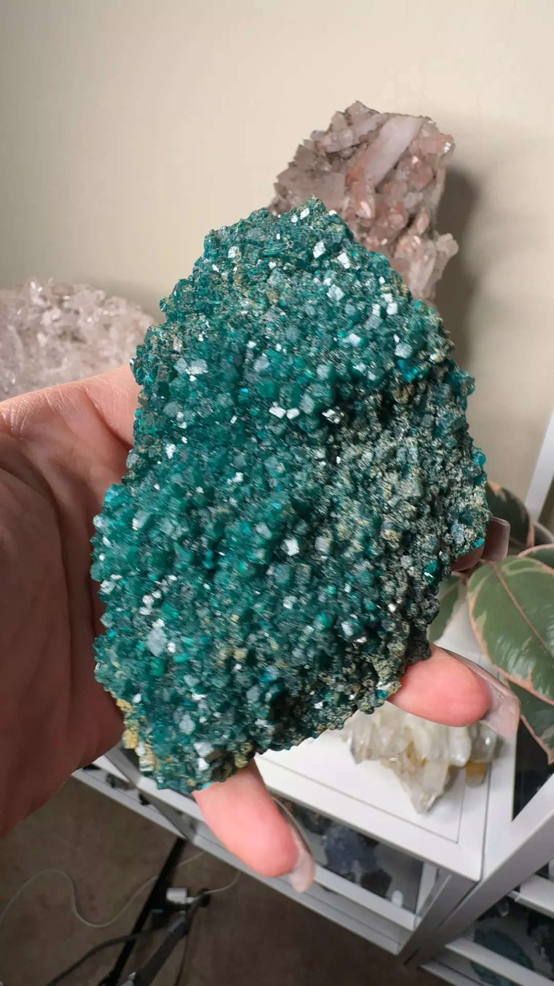 plant/Dioptase-0