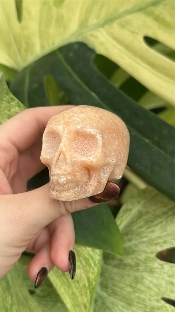 plant/PS-5898 Orange Calcite Skull-0