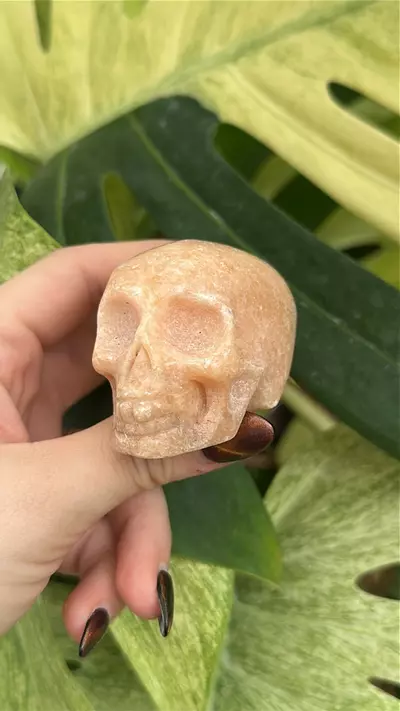 plant/PS-5898 Orange Calcite Skull-0-thumbnail
