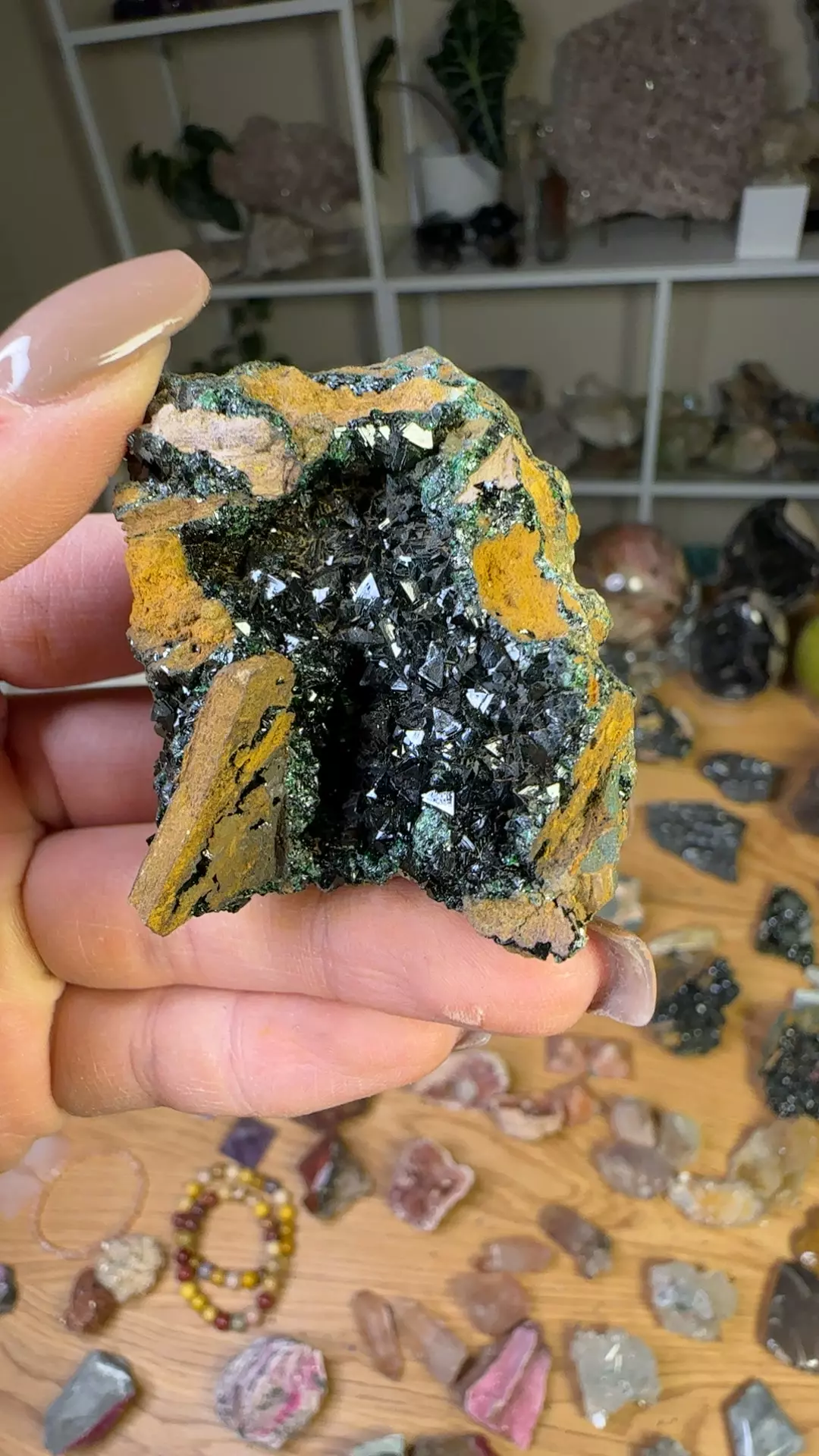 plant/Libethinite -Congo-0