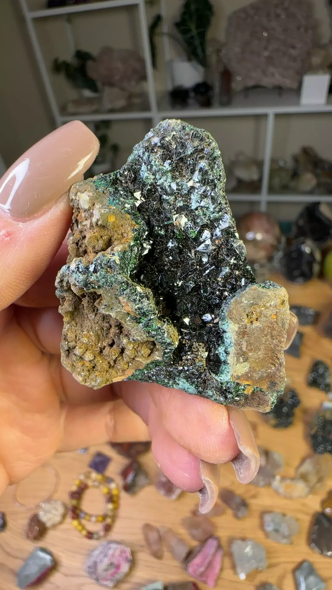 plant/Libethinite -Congo-0