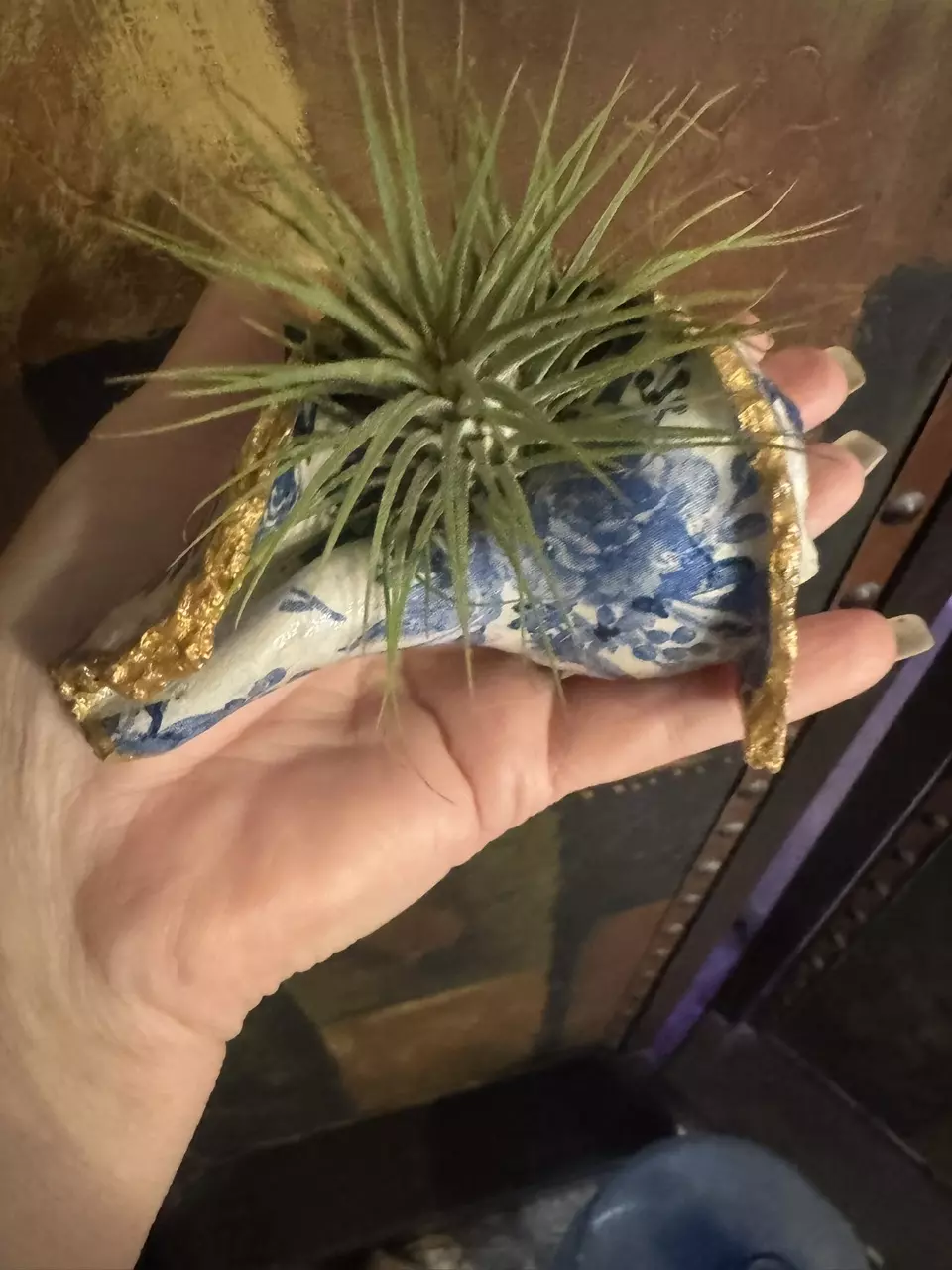 plant/Air Plant holder seashell handmade decoupage-0