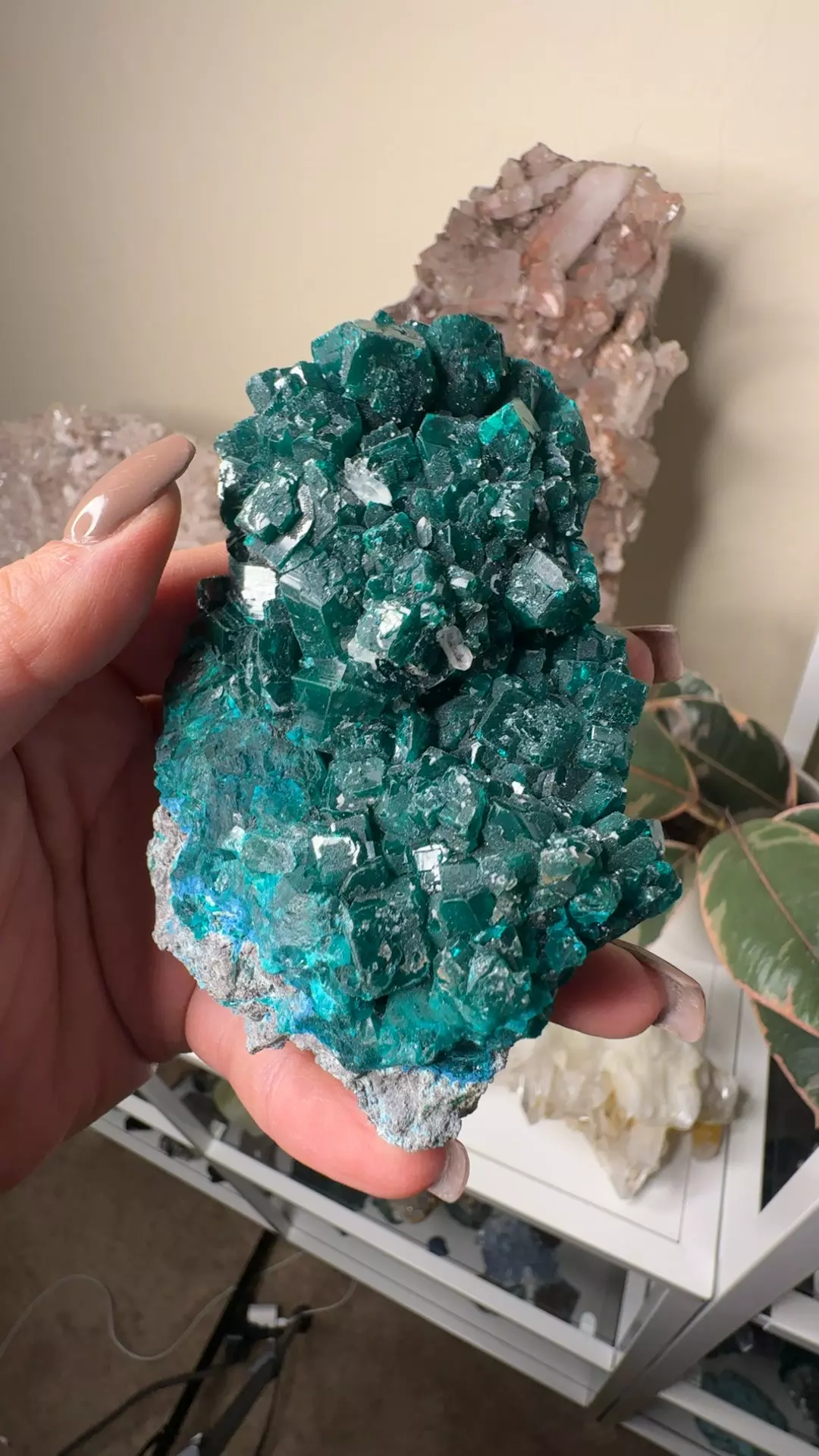 plant/Dioptase , calcite , Shattuckite & Chrysocolla-0
