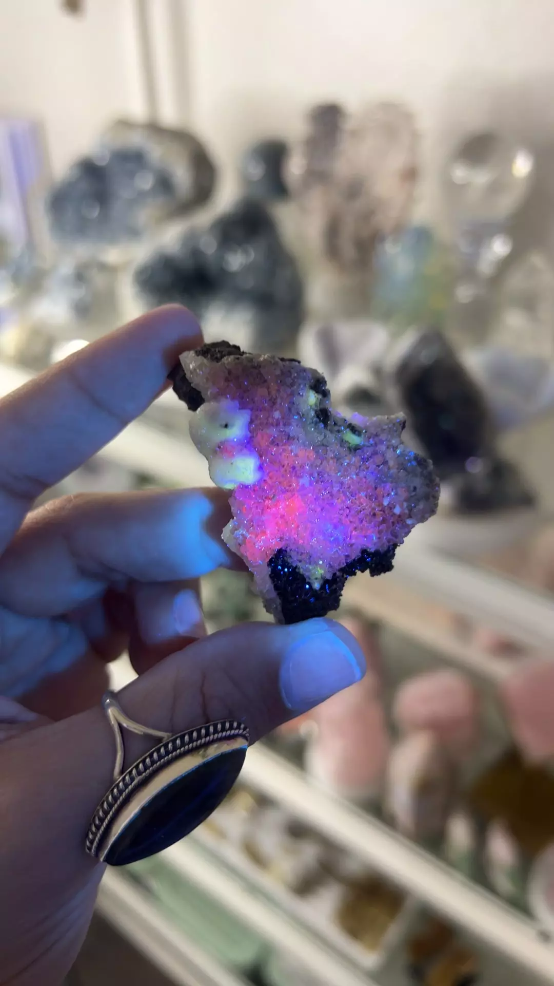 plant/Fluorite- Santa Eulalia Mine Chihuahua Mexico 30-0