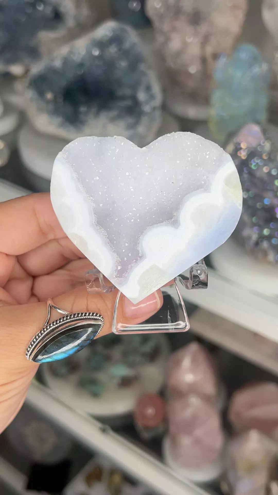 plant/Blue Lace Agate Heart $68Y-0