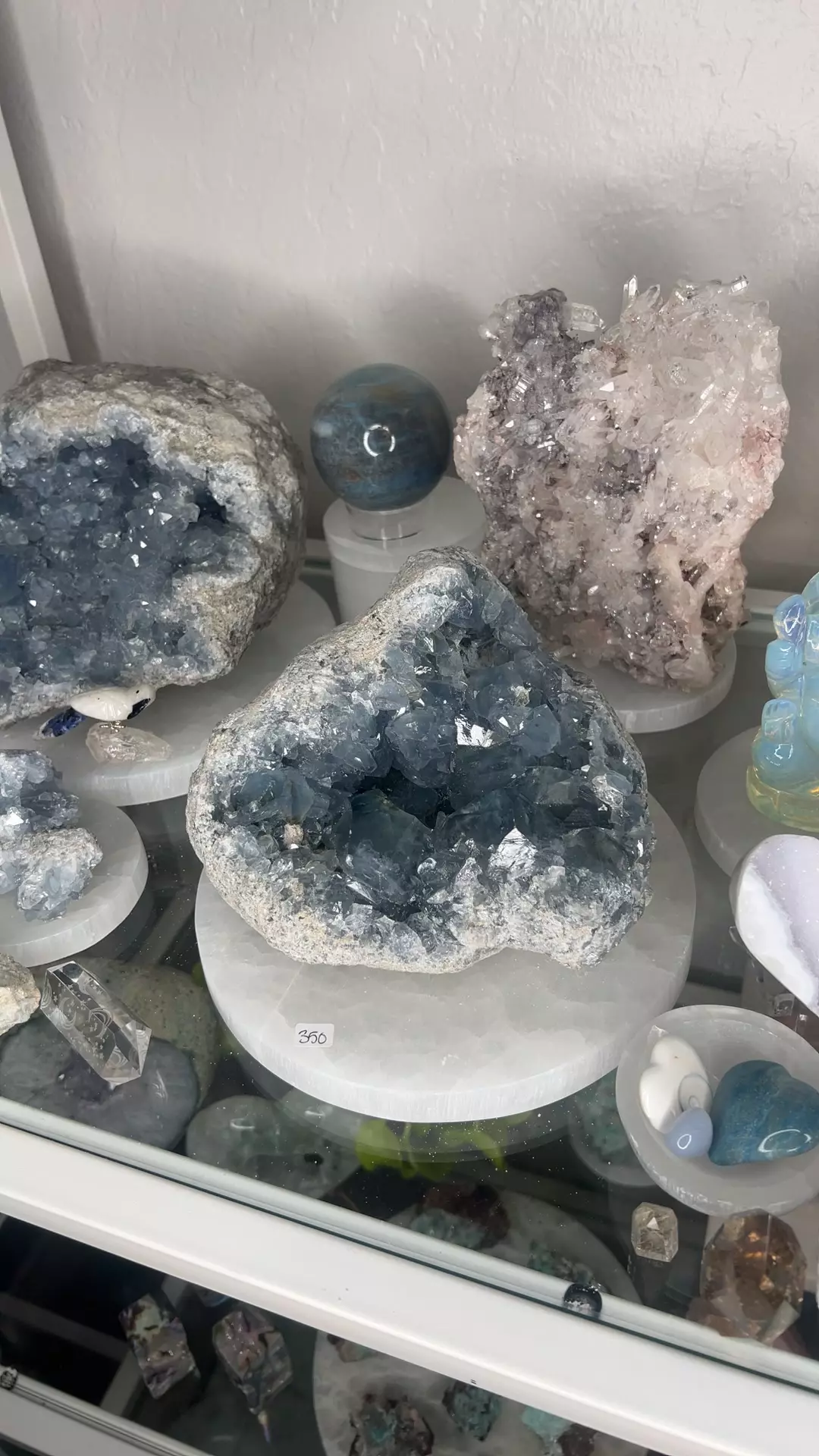 plant/Blue Celestite Specimen w Selenite plate-0
