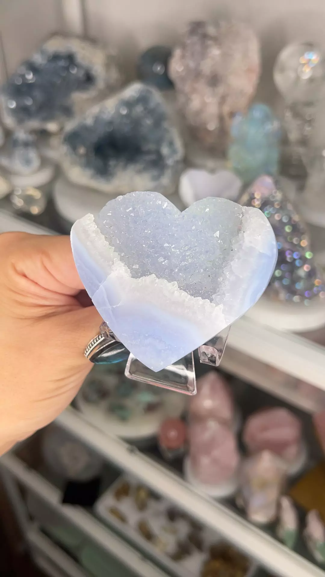 plant/Blue Lace Agate Heart $66P-0