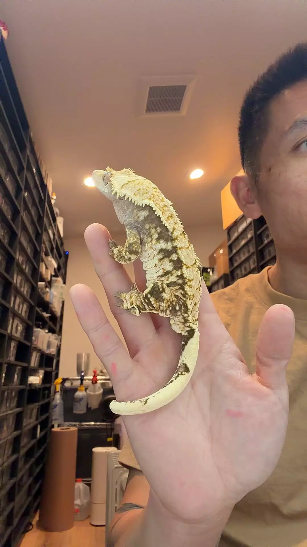 plant/45g male rtb ghost x frost line-0