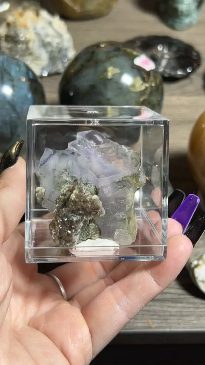 plant/Ygx Fluorite-0