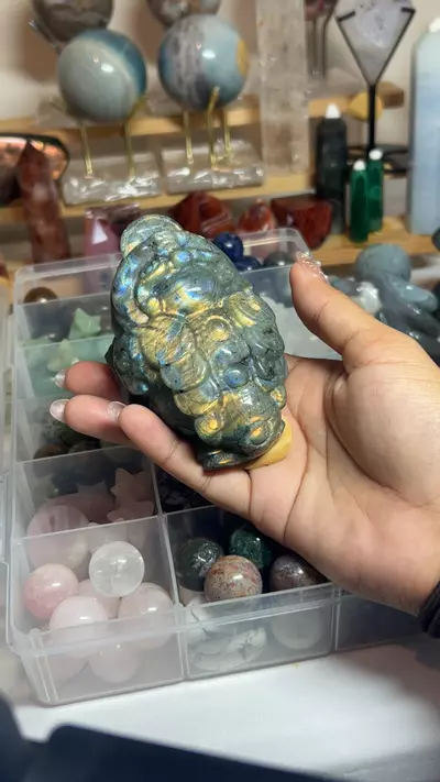 plant/Lab-0-thumbnail