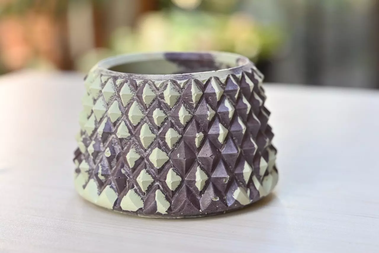 plant/3” Moody Plum Sage Pineapple-0