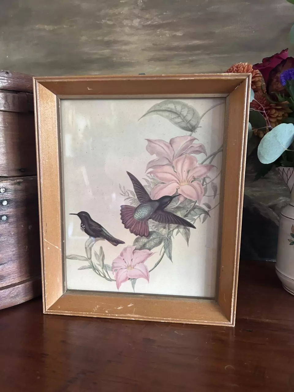 plant/Gould Bird Lithograph-0