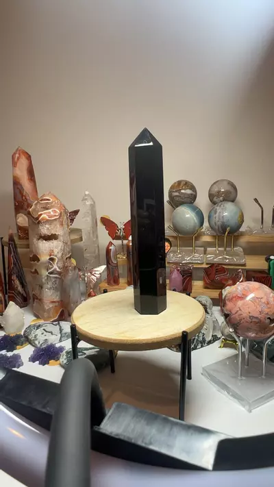 plant/Obsidian-0-thumbnail