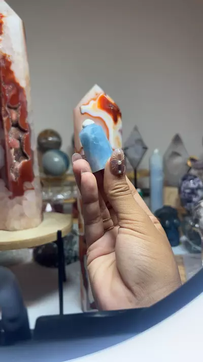 plant/Aquamarine-0-thumbnail