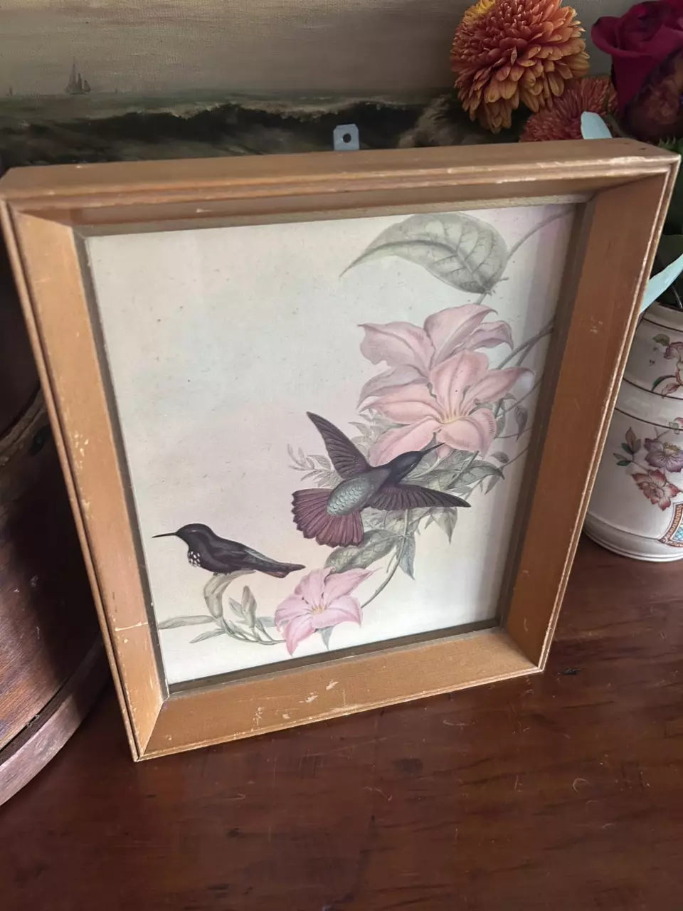 plant/Gould Bird Lithograph-1