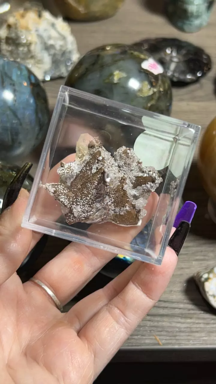 plant/Dogtooth Calcite-0