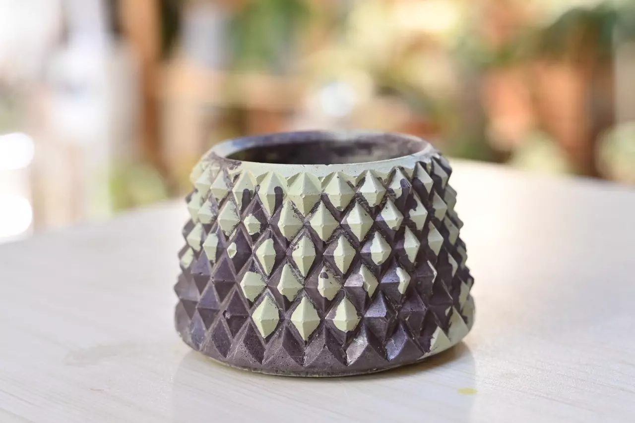 plant/3” Moody Plum Sage Pineapple-2