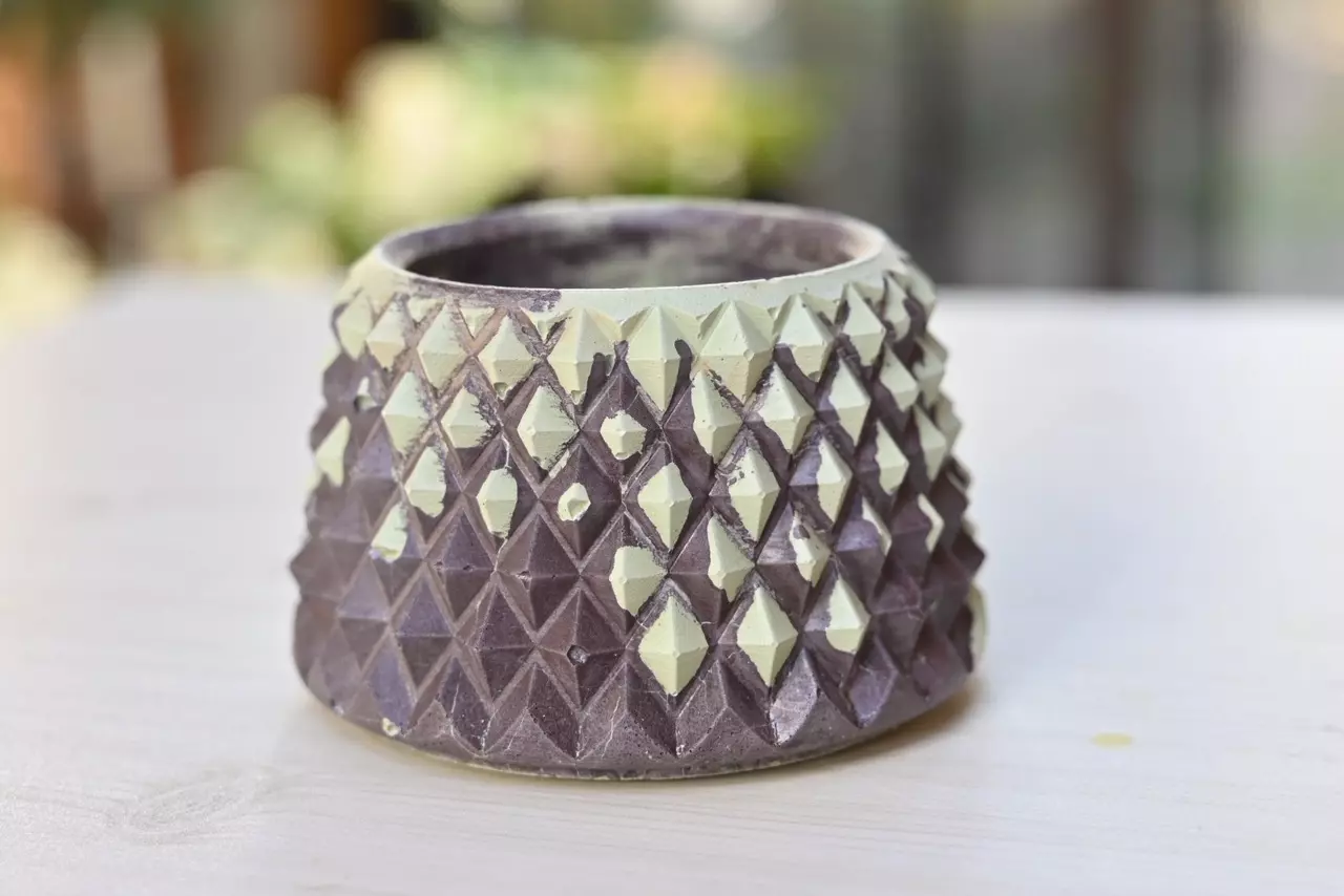 plant/3” Moody Plum Sage Pineapple-1