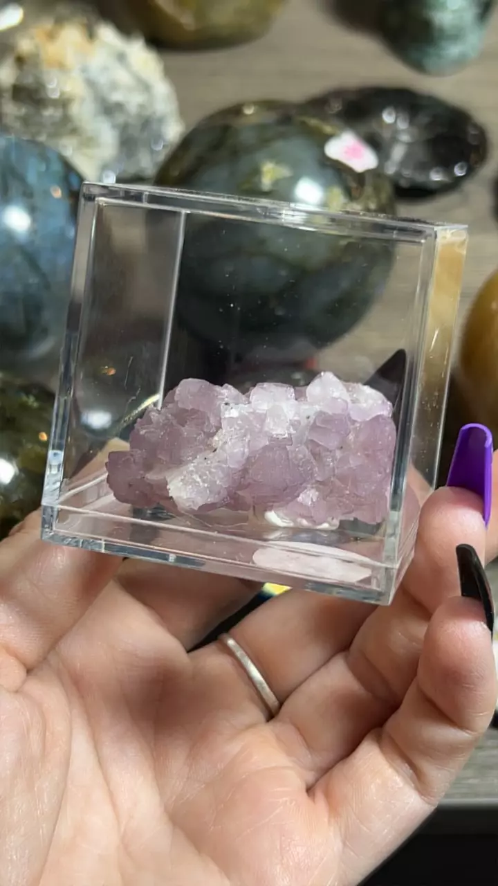 plant/Tombstone AZ Fluorite-0