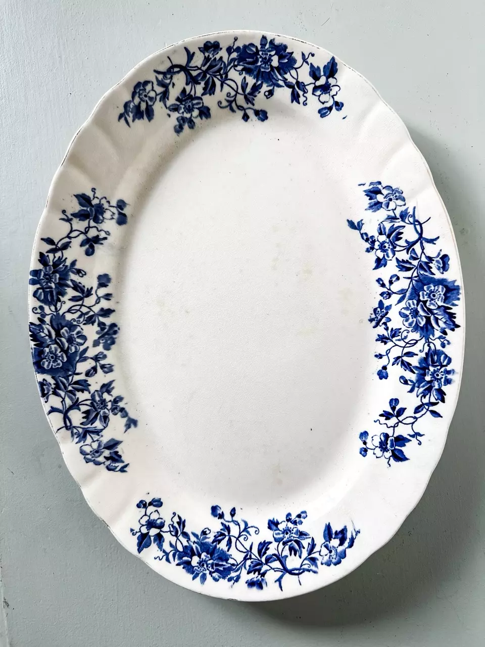plant/Antique ironstone transferware platter-0