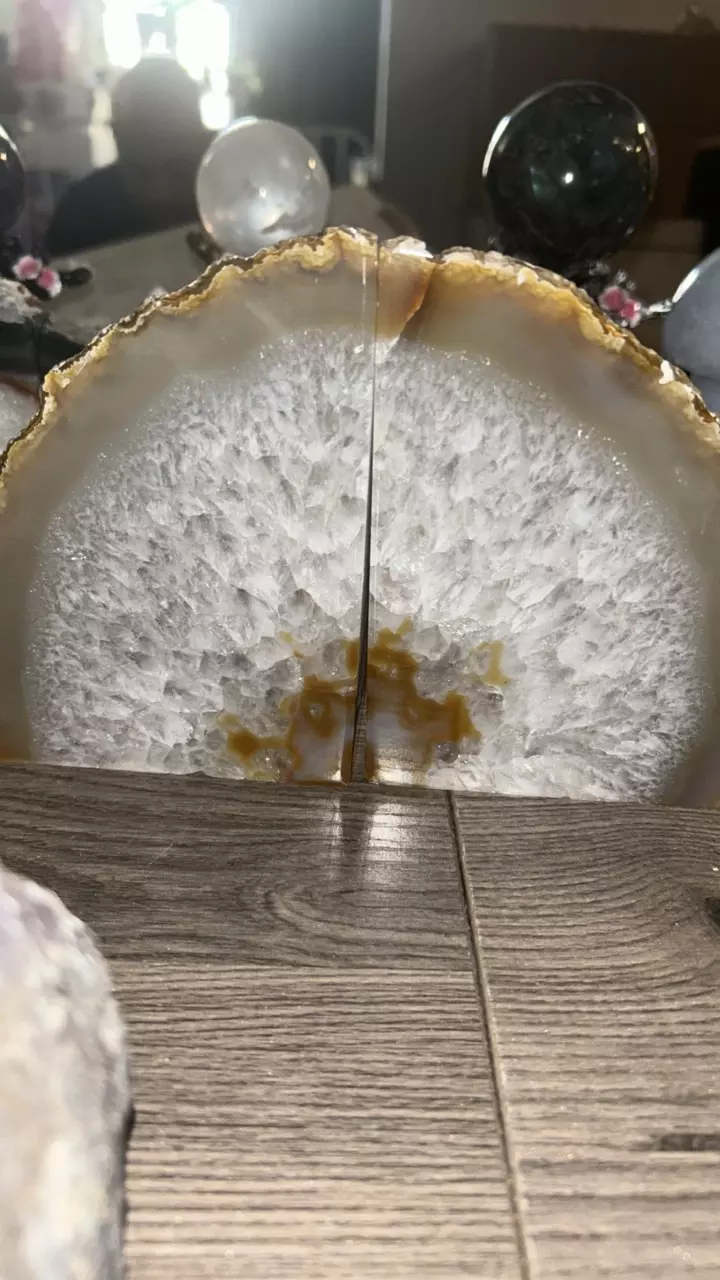 plant/Agate Book Ends-0